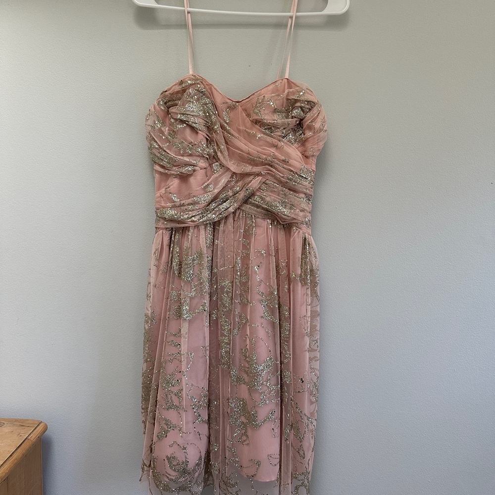 Hailey by Adrianna Papell Pink Dress with Gold Accents